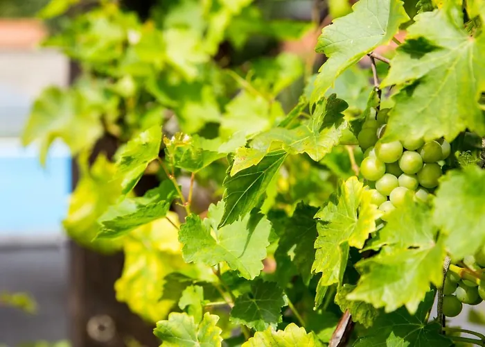 Ferienhaus-pressler-erfurt *